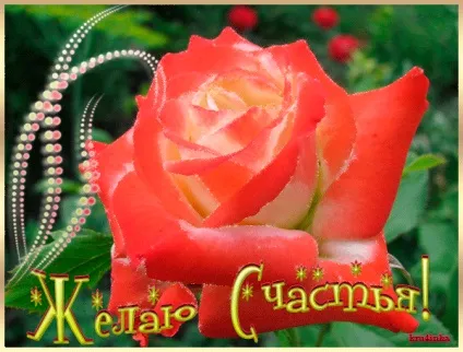 Картинки бажаю щастя