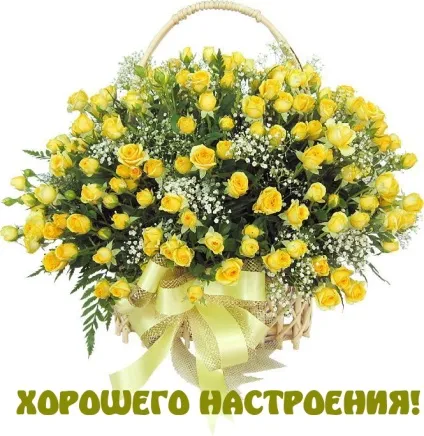 Картинки з написами побажання (388 шт (картинки з написами побажання) Картинки з написами побажання (388 шт