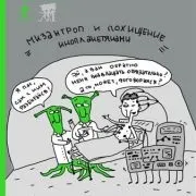 Кокос в акваріумі - початківцям аквариумистам (Sticks всіх видів ставкових) Кокос в акваріумі - початківцям аквариумистам