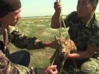 Кочівник з калмицької пропискою, центральноазійська директив політологічного центру - північ-південь (кочівник калмицької пропискою) Кочівник з калмицької пропискою, центральноазійська директив політологічного центру - північ-південь