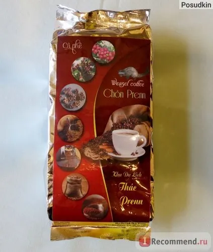Кава копальні лювак - «кава лювак (kopi luwak) (luwak) Кава копальні лювак - «кава лювак (kopi luwak)