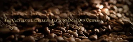 Кава лювак - що таке kopi luwak (кава) Кава лювак - що таке kopi luwak