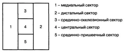 Кількісна і якісна оцінка зубних відкладень