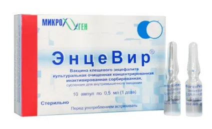 Кліщовий енцефаліт у дітей симптоми і ознаки, лікування, профілактика (кліщовий) Кліщовий енцефаліт у дітей симптоми і ознаки, лікування, профілактика