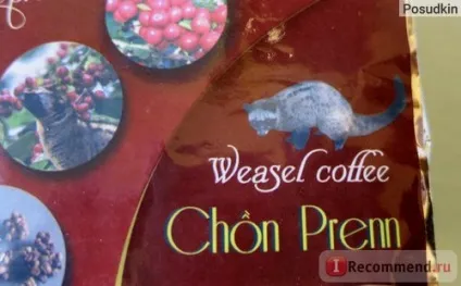 Кава копальні лювак - «кава лювак (kopi luwak) (kopi) Кава копальні лювак - «кава лювак (kopi luwak)