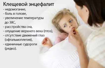 Кліщовий енцефаліт у дітей - симптоми хвороби, профілактика і лікування кліщового енцефаліту у дітей (види хвороби) Кліщовий енцефаліт у дітей - симптоми хвороби, профілактика і лікування кліщового енцефаліту у дітей