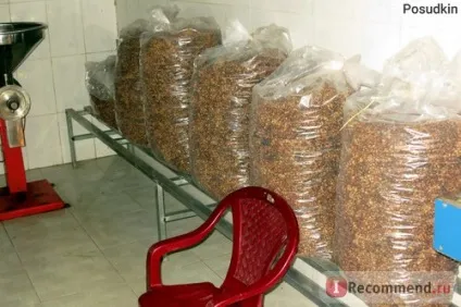 Кава копальні лювак - «кава лювак (kopi luwak) (Kopi Luwak становить) Кава копальні лювак - «кава лювак (kopi luwak)