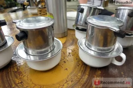 Кава копальні лювак - «кава лювак (kopi luwak) (кава) Кава копальні лювак - «кава лювак (kopi luwak)