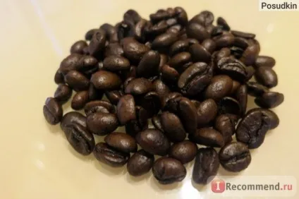 Кава копальні лювак - «кава лювак (kopi luwak) (копальні) Кава копальні лювак - «кава лювак (kopi luwak)