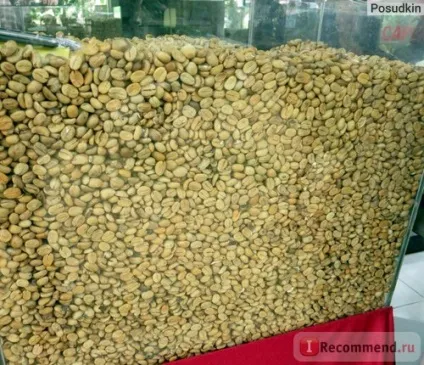 Кава копальні лювак - «кава лювак (kopi luwak) (Kopi Luwak становить) Кава копальні лювак - «кава лювак (kopi luwak)
