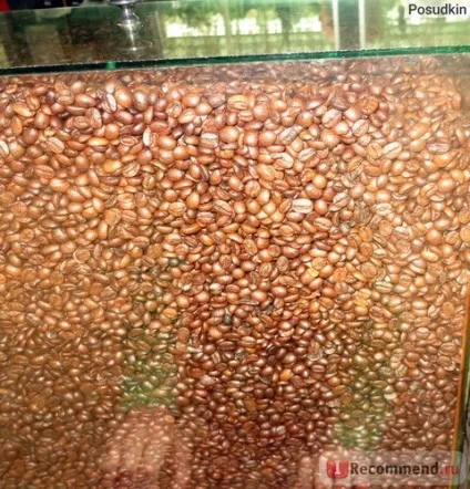 Кава копальні лювак - «кава лювак (kopi luwak) (копальні) Кава копальні лювак - «кава лювак (kopi luwak)