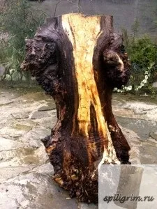 Корнепластика - мій сайт