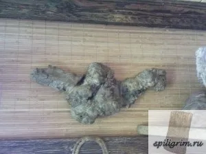 Корнепластика - мій сайт