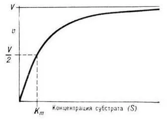 Константа Міхаеліса - студопедія