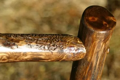 Корнепластика, будинок і сад
