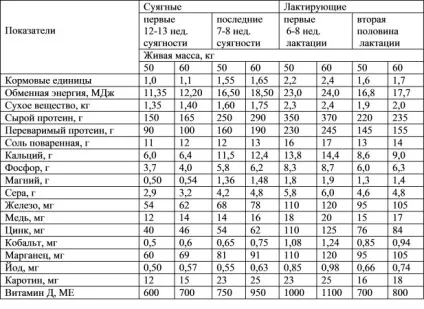 Годування овець годування вівцематок (дерть сіль кухонна) Годування овець годування вівцематок