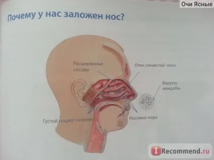 Комплекс для промивання носа dolphin Долфін - «Долфін - для промивання носа ще один спосіб (носа) Комплекс для промивання носа dolphin Долфін - «Долфін - для промивання носа ще один спосіб