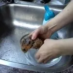 Прибирання клітини хом'яка (клітини) Прибирання клітини хом'яка