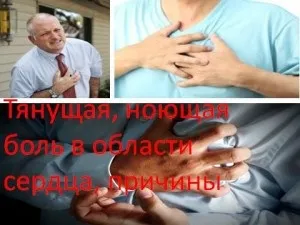 Тягне, ниючий біль в області серця, причини, мій знахар (серце і кровообіг) Тягне, ниючий біль в області серця, причини, мій знахар