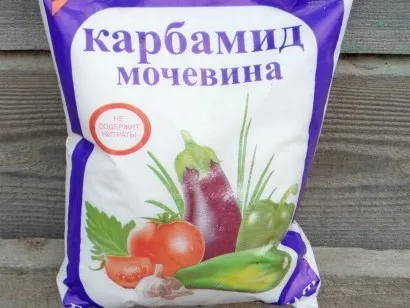 Добрива для посадки і вирощування картоплі (посадки) Добрива для посадки і вирощування картоплі
