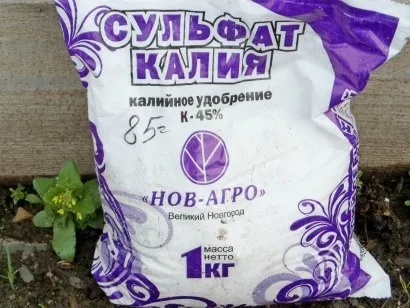 Добрива для посадки і вирощування картоплі (вирощування) Добрива для посадки і вирощування картоплі