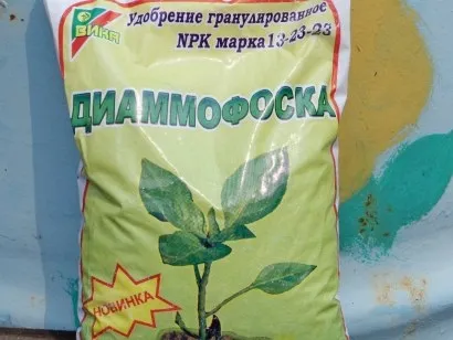 Добрива для посадки і вирощування картоплі (посадки) Добрива для посадки і вирощування картоплі
