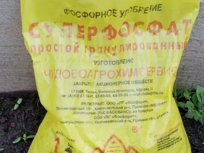 Добрива для посадки і вирощування картоплі (картоплі) Добрива для посадки і вирощування картоплі