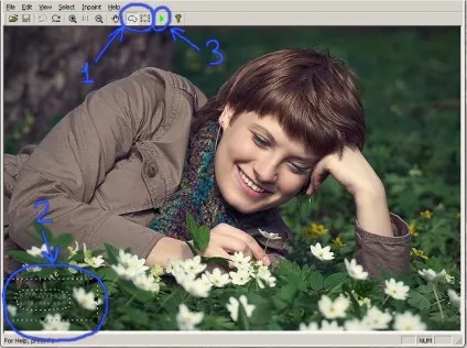 Прибрати логотип, напис або дату з фотографії без фотошопу за допомогою програми inpaint (видалення об'єкта) Прибрати логотип, напис або дату з фотографії без фотошопу за допомогою програми inpaint