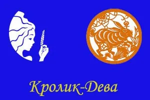Кот-діва, ворожіння