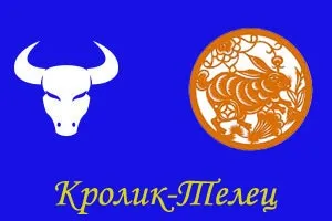 Кот-тілець, ворожіння