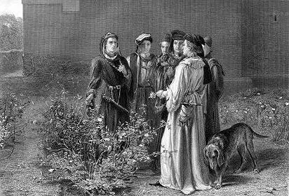 Червона троянда - флористичний символ Англії (флористичний) Червона троянда - флористичний символ Англії