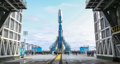 Кот в мішку як притулок тварина і не пошкодувати про це (тварина) Кот в мішку як притулок тварина і не пошкодувати про це