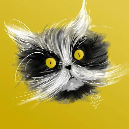 Кот атчум