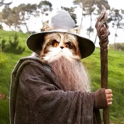 Кот атчум