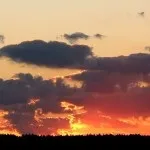 Хто такі Єтті