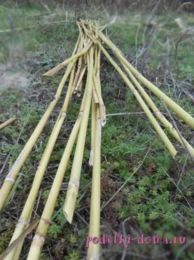 Кугікли - флейта пана своїми руками, коробочка ідей і майстер-класів (кугікли) Кугікли - флейта пана своїми руками, коробочка ідей і майстер-класів