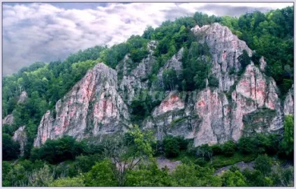 Кросворд з питаннями і відповідями, 4 клас (початкових) Кросворд з питаннями і відповідями, 4 клас