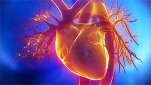 Лікування грудної жаби рецептами з народної медицини (рецептами) Лікування грудної жаби рецептами з народної медицини