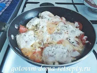 Курка тушкована з помідорами в сметані (сметані) Курка тушкована з помідорами в сметані