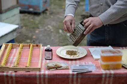 Лікування бурситу народними засобами лавровий лист, мед, компреси з димексидом і спиртом (лікування) Лікування бурситу народними засобами лавровий лист, мед, компреси з димексидом і спиртом