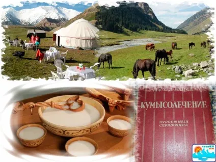 Кумис, приготування кумису, як роблять кумис (кумисолікування) Кумис, приготування кумису, як роблять кумис