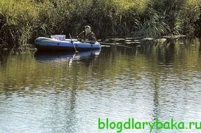 Ловля великого ляща в липні на різних водоймах, рибалка рибалку бачить здалеку (ляща) Ловля великого ляща в липні на різних водоймах, рибалка рибалку бачить здалеку