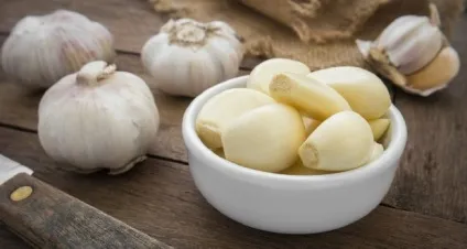 Лікування опісторхозу народними засобами в домашніх умовах (народними) Лікування опісторхозу народними засобами в домашніх умовах