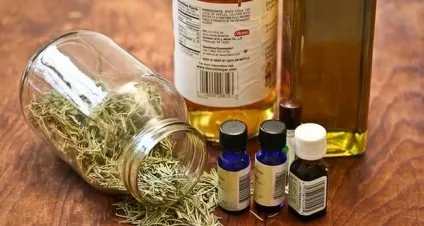 Лікування опісторхозу народними засобами в домашніх умовах (описторхоза) Лікування опісторхозу народними засобами в домашніх умовах