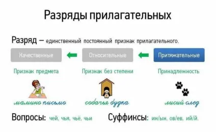 Лексико-граматичні розряди прикметників (лексико-граматичні) Лексико-граматичні розряди прикметників