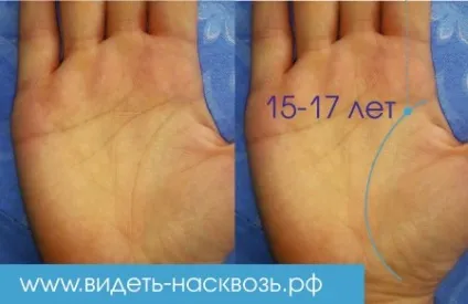 Лінія життя по роках (років) Лінія життя по роках