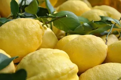 Лікер лімончелло історія і рецепт - дещо про італії