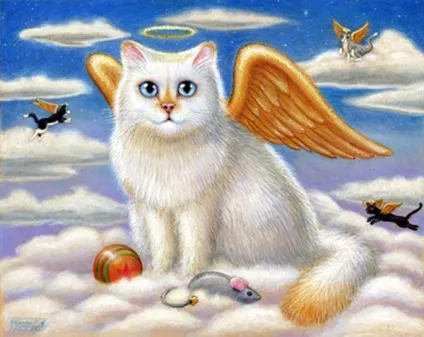 літаючі коти