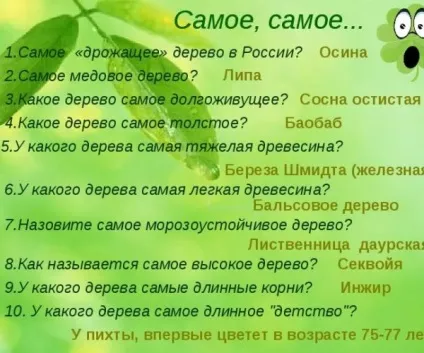 Липа посадка і догляд, дачникам (посадка) Липа посадка і догляд, дачникам
