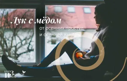Лук з медом від кашлю, нежиті (нежиті. Рецепти. Корисні властивості і протипоказання) Лук з медом від кашлю, нежиті